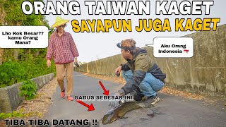 Tiba-Tiba Datang..!! Orang Taiwan Kaget Saya Juga Kaget Gabus Penunggu Sungai Kena Ketapel