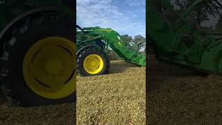 Ensilage 2k23