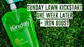 Sunday Lawn Kickstart 7 Days Later + Iron Boost Application