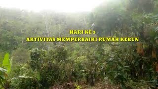 Hari Ketiga Aktivitas di Kebun: Memperbaiki Rumah