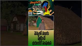 పొలిమేర  Real Horror Story in Telugu | polimera Real Ghost Experience | Animals Horror Stories _ 09