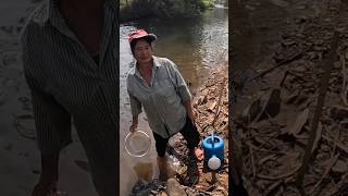 Giving Auntie A Helping Hand In Rural Thailand🇹🇭 #shorts #thailand #fyp  #foryou #thai #maehongson