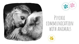 Psychic Communication with Animals with Diana Delmonte :)