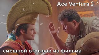 отрывок из фильма Ace Ventura 2 / Эйс Вентура 2 в главных ролях Джим Керри