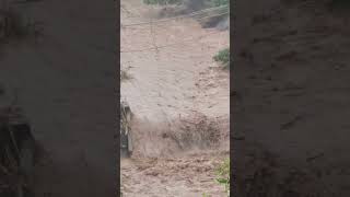 Current situation of Beas river, Mandi, Himachal Pradesh #shorts #mandi #himachal #river