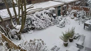 Holland snow 2021 Feb  #YouTubeshorts #snow #2021