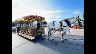 Must do ride down Disney's Main Street USA on a house (Titan) drawn trolley with the Dapper Dans.