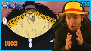 🐆 LUCCI'S FINAL FORM 🐆 | One Piece - Episode 246 | Reaction