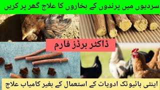 how to faver treatment in poultry farm|murgiyon kay bukhar ka ilaj|DR.M.ASIF