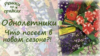 ОБЗОР ОДНОЛЕТНИХ ЦВЕТОВ, которые не подведут! Придайте ярких красок своему участку!!!