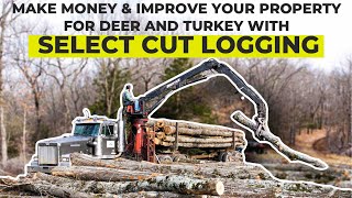 Improve Your Huntin Property With Logging and Get Paid!