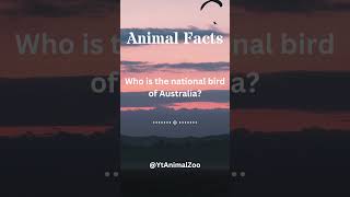 Unveiling the Wonders Incredible Animal Facts Revealed Engaging Wildlife Trivia 60