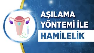 Aşılama Yöntemi Nedir? Aşılama Tedavisi Kimlere Uygulanır? Aşamaları ve Hamilelik Oranı