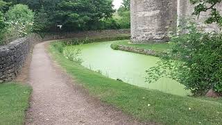 Terrifying . You can see how deceptive and green the moat is at Nunney Castle.