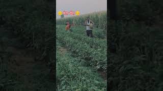 piyawa kisanwa 🥰🥰😎😎 lovly video 😊😊😊 my ket