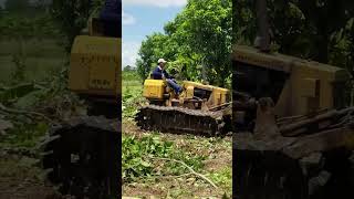 Tree bulldozer