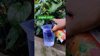 Pupuk Tanaman Buah Viral