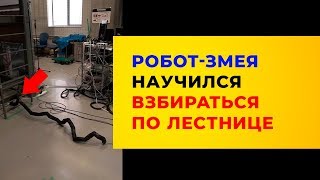 РОБОТ ЗМЕЯ научился взбираться на лестницу! | Смотри, что я узнал!