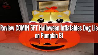 Review COMIN 5FT Halloween Inflatables Dog Lie on Pumpkin Blow Up Outdoor Yard Decorations with Buil