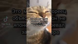 Друг японец #рекомендации #ржака #угар #shorts #хахаха #tiktok #кот #имератор #китаец