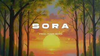 [FREE] JuL x Morad x Maes Type Beat "SORA" | Instru Rap 2024