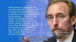 UDHR video for youtube 1080p H264 SV subtitles