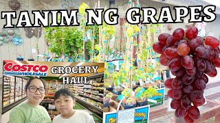 COSTCO GROCERY HAUL | TANIM NG GRAPES UBAS | EASTER SUNDAY EVENT | BUHAY AMERIKA | GROCERY SHOPPING