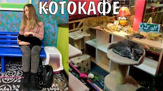 Обзор на КотоКафе | Музей Кота Минск | VLOG