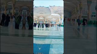 #madina #masjidnabawi #khadim #trending #reel #makkah #shorts #fyp