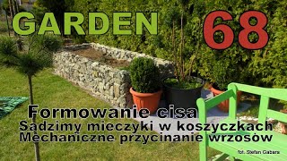 GARDEN 68 - Formowanie cisa - Mech.przycinanie wrzosów i bukszpanu - Mieczyki w grupach