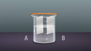 Effect of adding Sodium Chloride on the Electrical Conductivity of Distilled Water