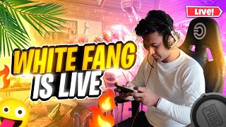 Conqueror Rank Push & 1v1 tdm | White Fang Live #bgmilive