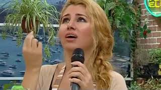 Hülya Bozkaya-Aşk acısı