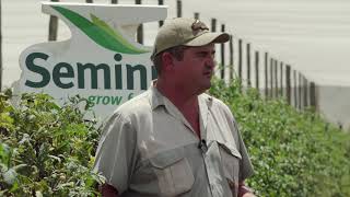 Seminis South Africa Farmer Testimonial