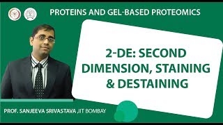 2-DE: Second dimension, staining & destaining