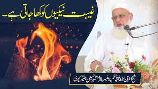 Geebat Naikiyun Ko Kha Jati Hai | Backbiting | Professor Hafiz Manzoor Hussain Basir Puri