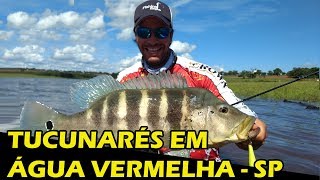 TUCUNARÉS em Água Vermelha - SP (SENSACIONAL!!!!) #04