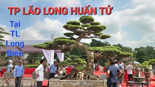 CHIÊM NGƯỠNG vẻ ngoài ẤN TƯỢNG của TP LÃO LONG HUẤN TỬ của NV Đồng Giao tại TL Long Biên .