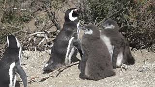 Monte Leon National Park - Argentina