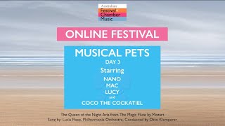 AFCM Musical Pets - Day 3