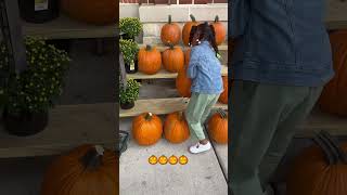 Large Pumpkins 🎃 🦋🦋#pumpkinspice #pumpkinseason #2023 #shortsvideo #pumpkin #youtubeshorts #short