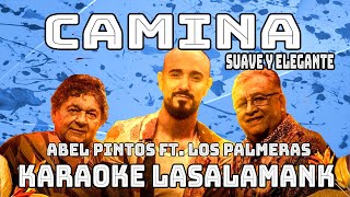 CAMINA (SUAVE Y ELEGANTE) Abel Pintos ft Los Palmeras (Karaoke)