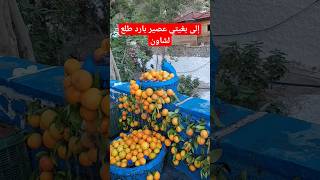 أحسن عصير شربتو هو دشاون 🍊😋 #viral