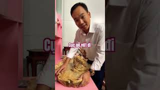 Cục gỗ vứt đi