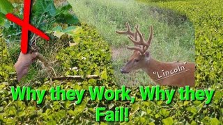 Why Whitetail Shot Plots Work and Fail