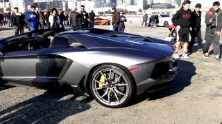 Aventador Roadster Revs