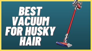 5 Best Vacuum For Husky Hair (Buying Guide & Reviews)