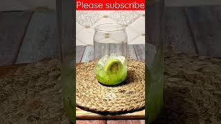 kiwi and pomegranate mojito/Pinterest inspired recipes att #ramadan #eid #shorts #viral #new #mojito