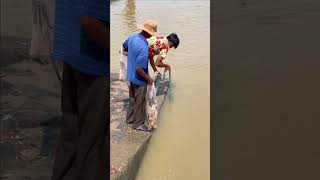 Fisherman Cast Net Fishing Real Life Amazing Fishing At Countryside.(Episode 182)