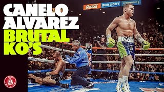 Top 5 CANELO'S Most RUTHLESS Punches | HD